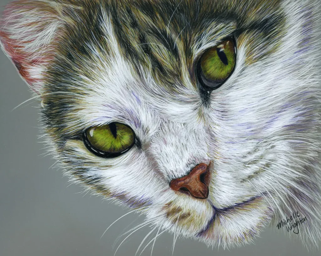 Cat - Colour pencil on drafting film