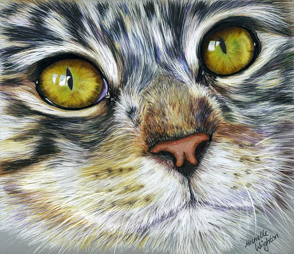 Cat - Colour pencil on drafting film