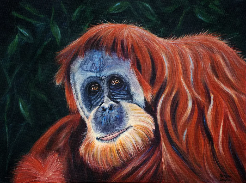 Orangutan - Acrylic on canvas