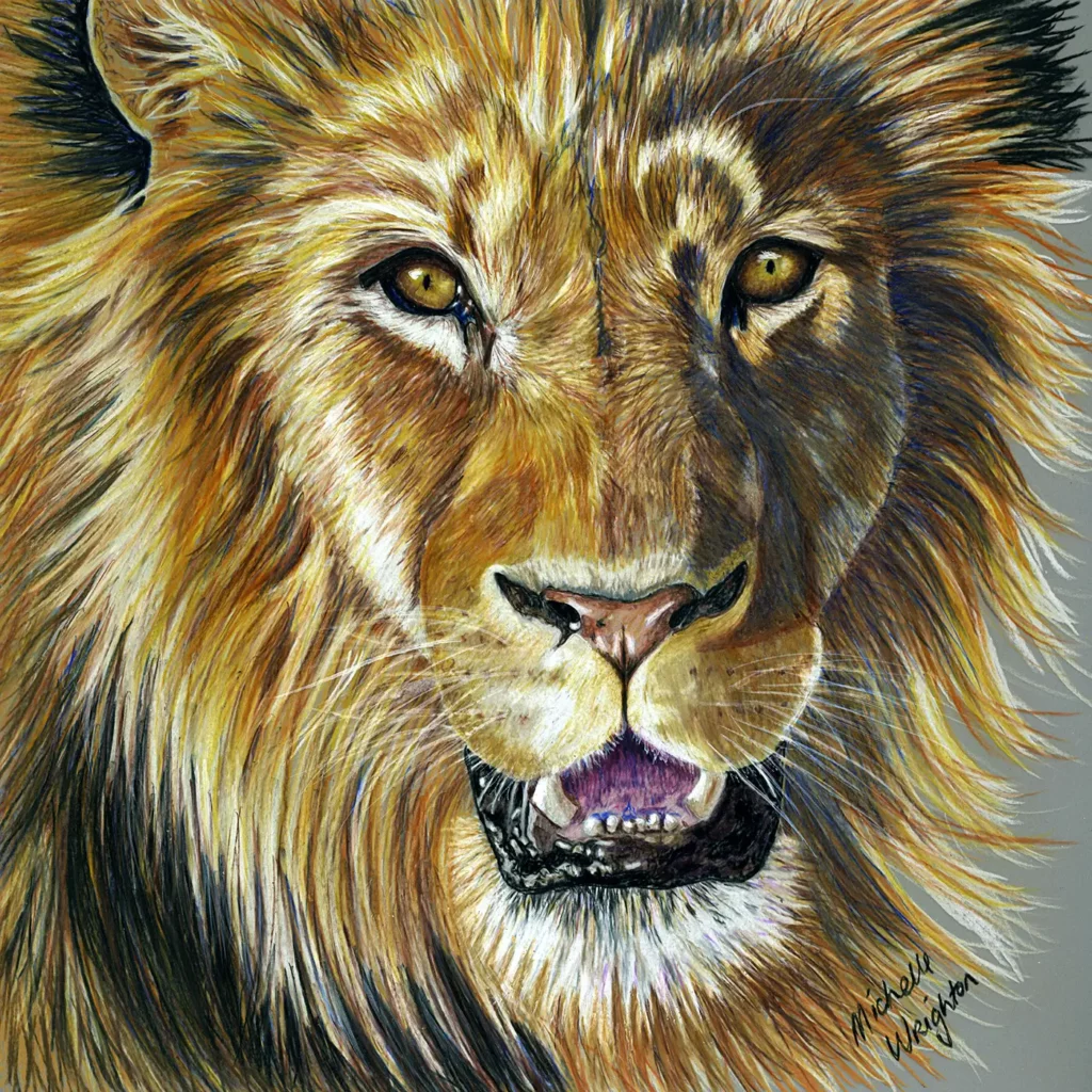 Lion - Colour pencil on drafting film